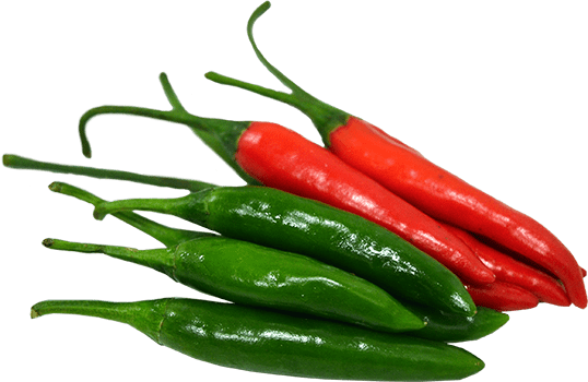 Chaste Exports farm in Kenya