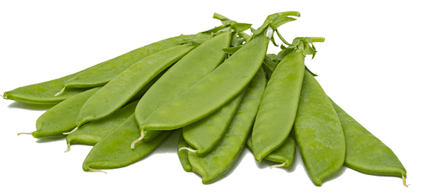 Fresh produce from Chaste Exports